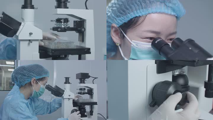 4k显微镜,生物制药研发,检验,科研